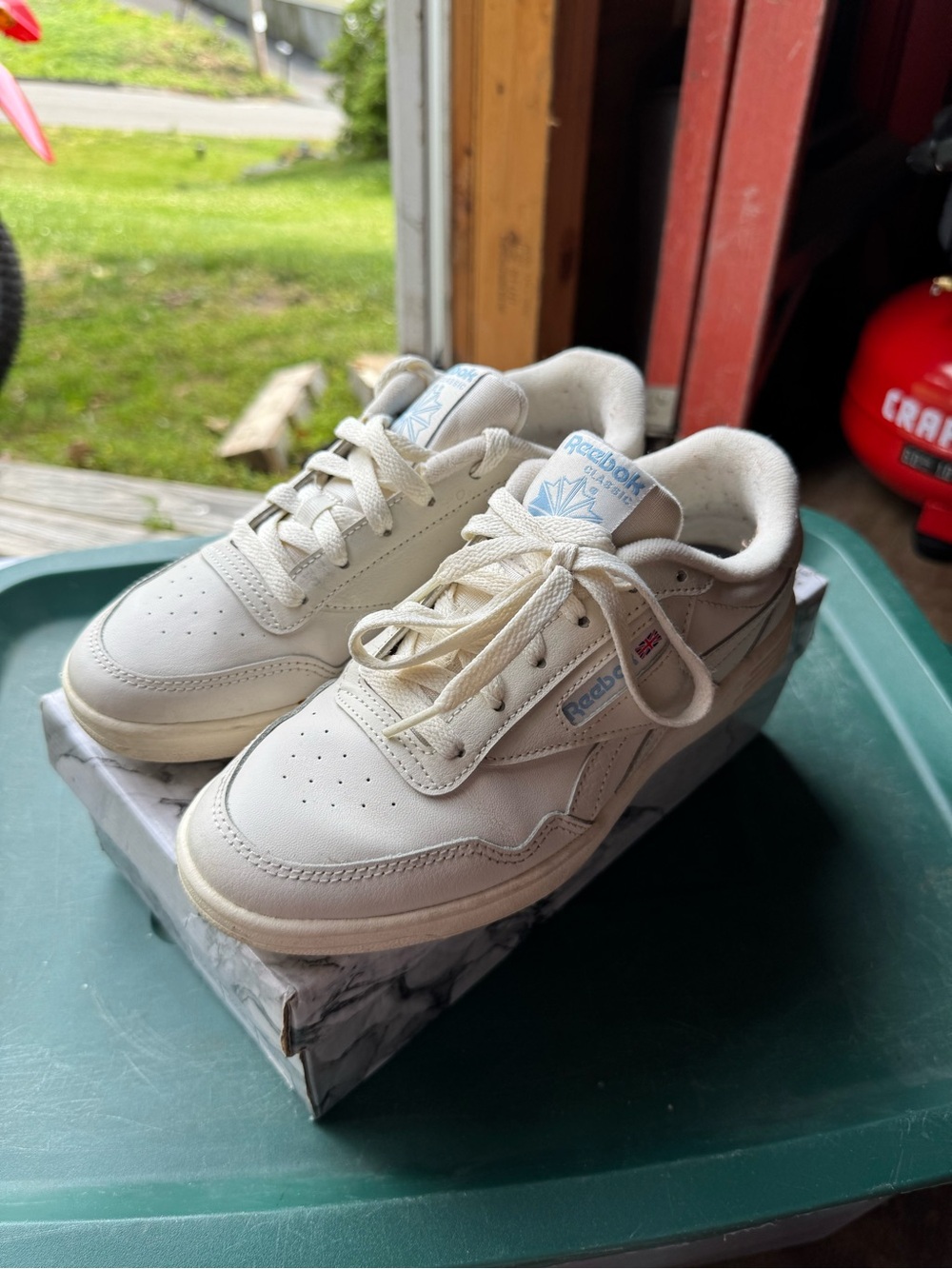 Reebok Classic Leather Shoes in Off-White
